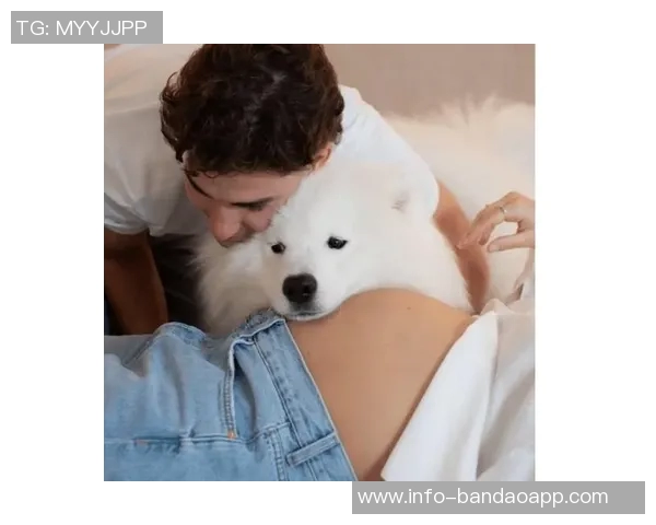 小蜘蛛分享女友孕照期待儿子阿马德奥即将降临家庭新篇章 小蜘蛛分享女友孕照期待儿子阿马德奥即将降临家庭新篇章