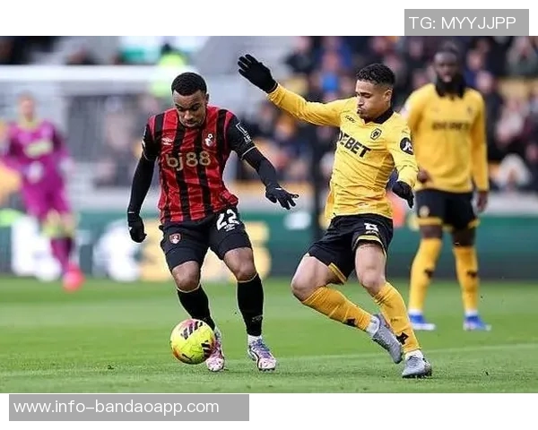 黑骑士足球俱乐部全资收购伯恩茅斯成为洛里昂唯一股东